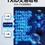 什么是链上转账哈希(TXID) 64位哈希字符串,SHA-256加密算法图示,区块链连接节点,放大镜查询图标